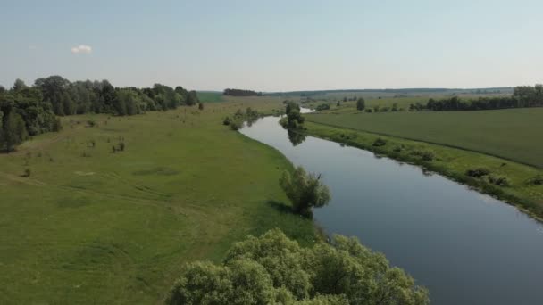 Widok z góry na rzekę, otoczony drzewami i łąkami na brzegach, widok z góry anteny — Wideo stockowe
