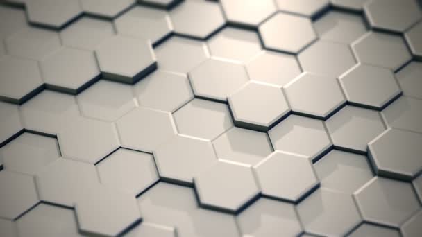 Abstrakt Honeycomb bakgrund vidvinkel. Ljus, minimal, ren, rörliga hexagonala rutnät vägg med skuggor. — Stockvideo