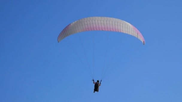 Extrem-Gleitschirm fliegt gegen einen strahlend blauen Himmel, der Sonnenstrahl scheint in die Kamera. Gleitschirmflug Erfahrung Fallschirmsprung Sommer. — Stockvideo