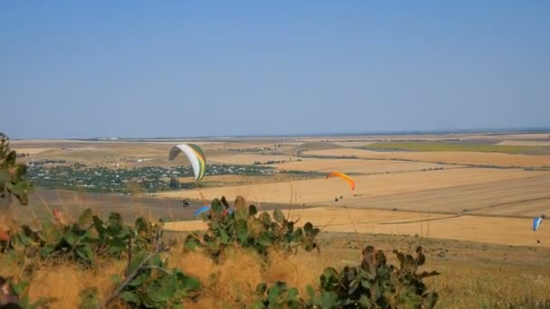 Sok siklóernyőket repül. Silhouette emberek siklóernyőzés. Paraglide repülés tapasztalat ejtőernyőzik nyár. — Stock videók