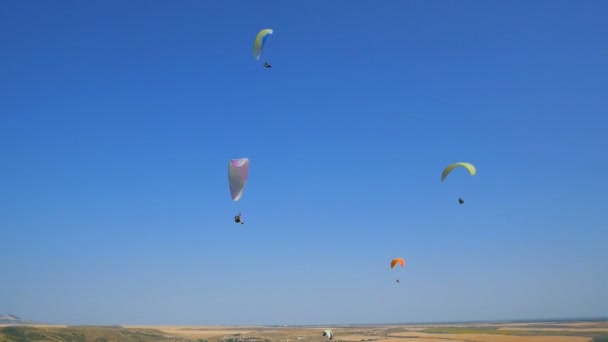 Många paragliders flyger. Silhouette människor paragliding. Paraglide flygning erfarenhet Skydive Summer. — Stockvideo