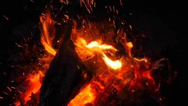 Dřevěné klády v oranžovém plameni. Hořící dřevo v ohni. Pohyb rudých ohnivých jazyků přes doutnající klády. Detailní záběr — Stock video