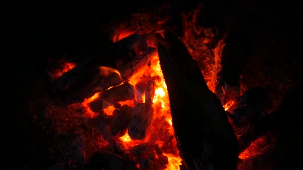 Houten logboeken in oranje vlam. Hout in brand steken. Beweging van rode tongen vuur over gesmolten stammen. Close-up — Stockvideo