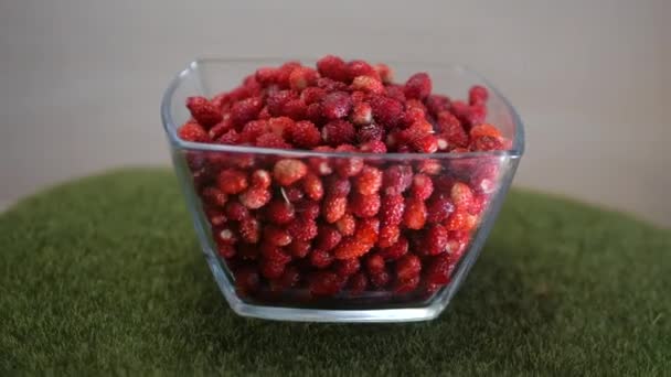 Une pile de fraises sauvages fraîches dans une assiette en verre. Aliments sains. — Video