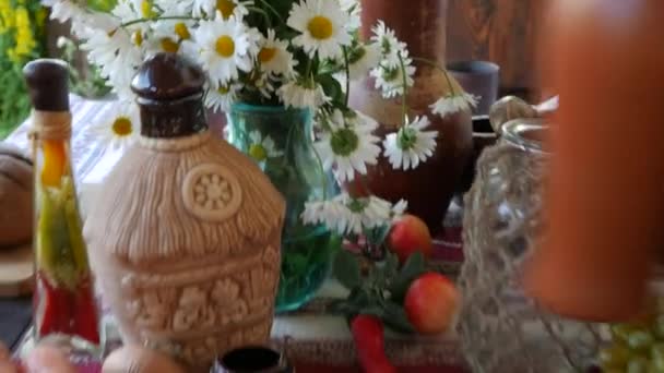 La mujer pone un plato de comida en la mesa. Fiesta de campo — Vídeo de stock