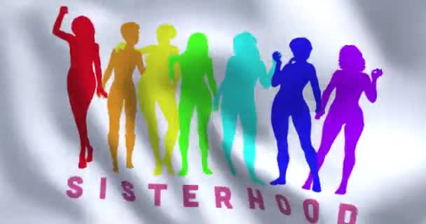 姉妹のシンボルでフラグを立てます。金星のシンボルを持つ単語SISTERHOODは女性のサインです. — ストック動画