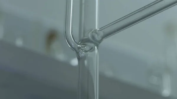 Bir kimya laboratuvarında parlak renkli maddelerin ışık efektleri