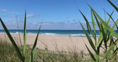 Git ileri slider ile atış izleme: manzara güzel Palmar Beach ile okyanus kum, Turkuaz su ve ufuk Vejer, Cadiz, Endülüs, İspanya, Avrupa'nın