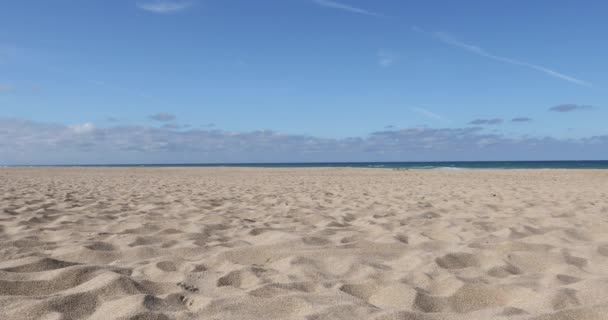 Kamerafahrt Mit Schieberegler Auf Sand Von Schönem Palmarstrand Türkisfarbenem Meerwasser — Stockvideo