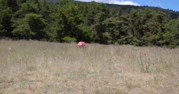 Acercándose Una Niña Rubia Cuatro Años Agachada Mirando Flores Campo — Vídeo de stock