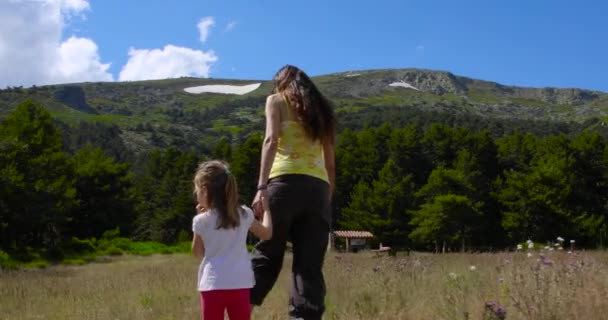 Liten Flicka Och Kvinna Som Håller Handen Promenader Tillsammans Äng — Stockvideo