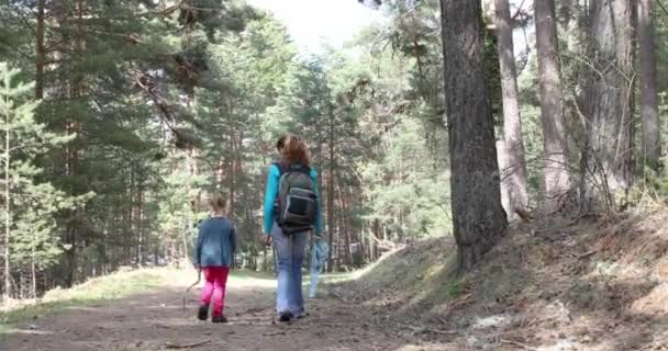 四岁的金发女郎 手里拿着棍子 妈妈在 Guadarrama 山的乡下 在马德里 西班牙 欧洲的森林里徒步旅行或散步 — 图库视频影像