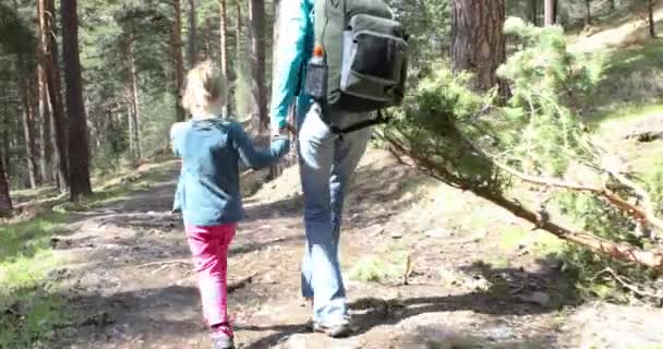 Vídeo Niña Rubia Cuatro Años Edad Cogida Mano Madre Caminando — Vídeo de stock