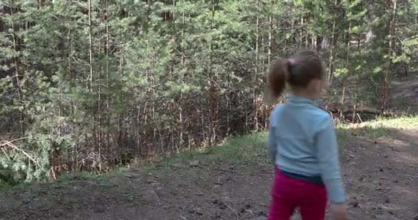 Videóinak Négyéves Kor Szőke Lány Szedés Dobott Fenyőtobozok Mellett Anyja — Stock videók