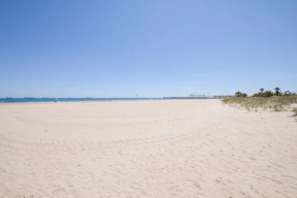 Краєвид Пляжу Сосни Або Пінар Grao Castellon Валенсія Іспанія Європи — стокове фото