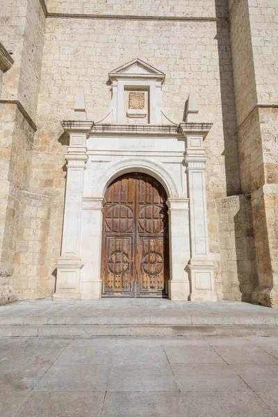 Side Door Landmark Cathedral San Antolin Gothic Monument Fourteenth Century — Stock Photo, Image