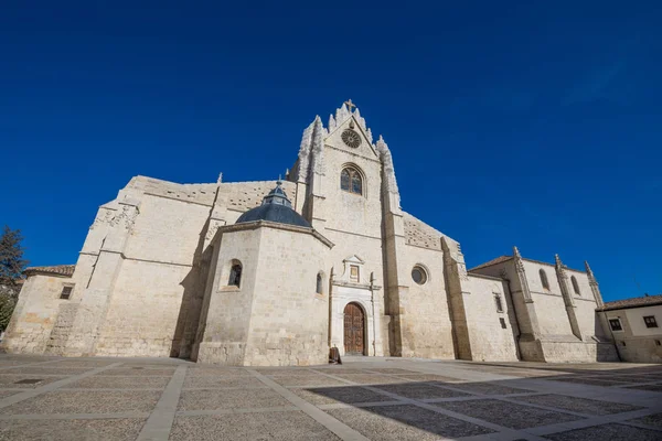 圣安通林标志性大教堂的侧面外立面 第十四世纪的哥特式纪念碑 在帕伦西亚市 卡斯蒂利亚里昂 西班牙 — 图库照片