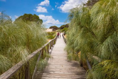 Dört yaşında sarışın kız kadın anne ve sırt çantası plaj Bolonia Tarifa, Cadiz, Endülüs, İspanya bitkilerde arasında ahşap yaya köprüsü üzerinde yürüme ile