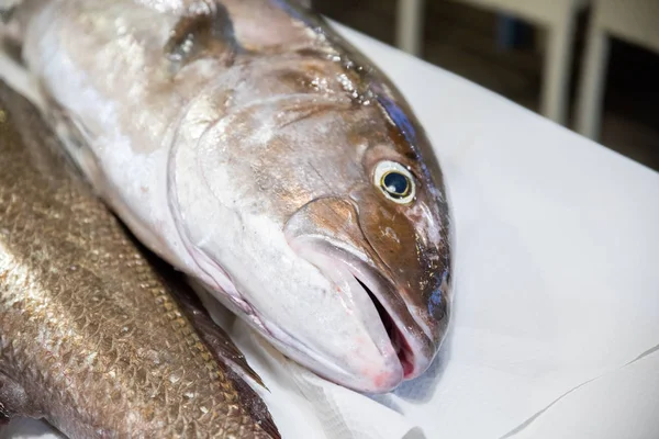 Head Face Eye Mouth Fresh Raw Dead Big Fish Greater — Stock Photo, Image