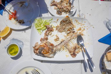 Fishbone gümüş ile beyaz tepsisinde eşek ya da İspanya'da Borriquete (Plectorhinchus mediterraneus) olarak bilinen bir yemiş balık