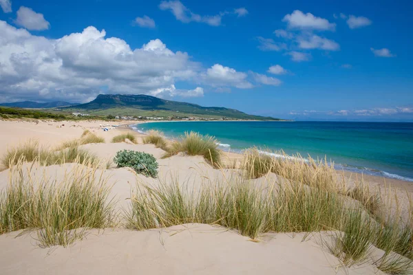 Paisagem Bela Idílica Praia Natural Selvagem Bolonia Tarifa Cádiz Andaluzia — Fotografia de Stock