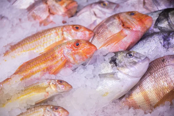 新鲜的生鱼五花八门 海低音 订购并放在冰里 准备做饭 在餐馆或市场的陈列柜里 — 图库照片