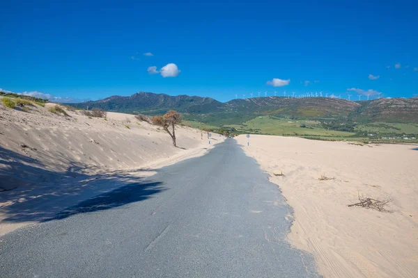 Sand Över Gammal Lantlig Väg Sanddyn Från Punta Paloma Valdevaqueros — Stockfoto