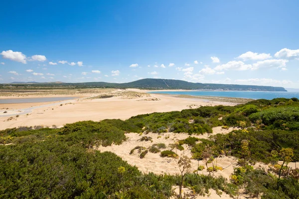 Vacker Natur Med Vilda Naturliga Park Cape Trafalgar Naturliga Park — Stockfoto
