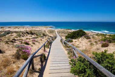 ahşap geçit Canos fırlayan Köyü (Barbate, Cadiz, Endülüs, İspanya), mavi gökyüzü yakınındaki Cape Trafalgar, plaj ve okyanus kıyılarında aşağı