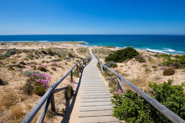 Camminata Legno Fino Alla Spiaggia Alla Costa Oceanica Capo Trafalgar — Foto Stock