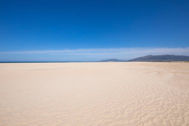 manzara güzel kumlu büyük ve yalnız Beach Los mızrak, Tarifa, Cadiz, Endülüs, İspanya