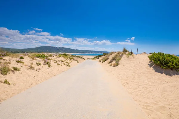 Ensam Smutsiga Asfaltvägen Med Sand Trafalgar Cape Caños Meca Barbate — Stockfoto