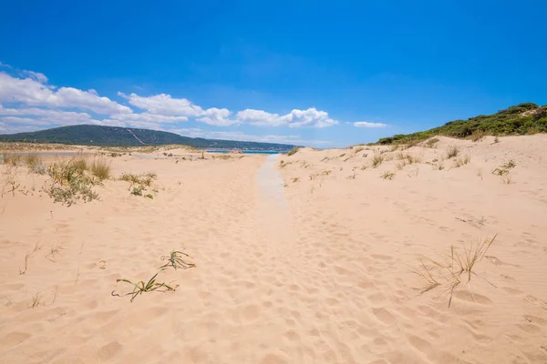 Houten Planken Voetpad Gedekt Strand Zand Natuur Kaap Van Trafalgar — Stockfoto
