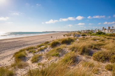 La Barrosa Beach in Chiclana de la Frontera, one of the most famous and large beaches in Cadiz (Andalusia, Spain, Europe) clipart