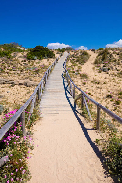 деревянная дорожка с песком на вершину холма в мысе Трафальгар, недалеко от деревни Канос-Мека (Барбате, Кадис, Андалусия, Испания), голубое небо

