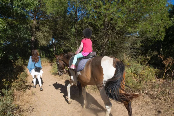 View Back Little Four Years Old Girl Riding Horse Next — Stock Photo, Image