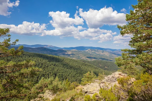 Bellissimo Paesaggio Con Cielo Blu Nuvole Verde Pineta Montagna Canencia — Foto Stock