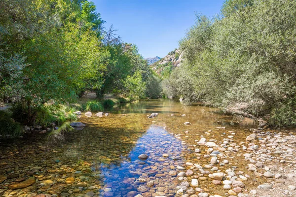 Landschaft Des Flusses Manzanares Mit Transparentem Wasser Kresse Pflanzen Und — Stockfoto