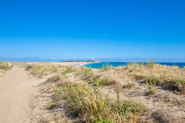 Piękny Krajobraz Latarnia Morska Przylądek Trafalgar Dzikich Naturalna Plaża Zahora — Zdjęcie stockowe