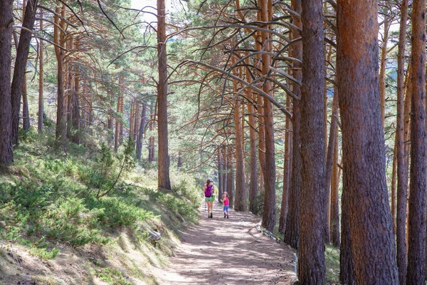 Bakom Bergsbestigare Liten Flicka Tittar Tillbaka Bredvid Kvinna Vandra Stig — Stockfoto