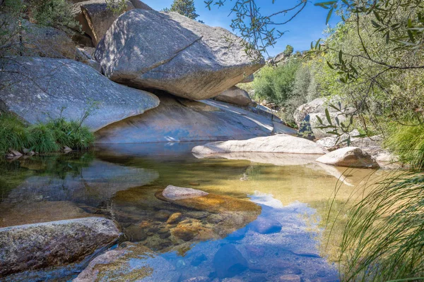 Beau Paysage Avec Eau Calme Transparente Dans Rivière Avec Gros — Photo