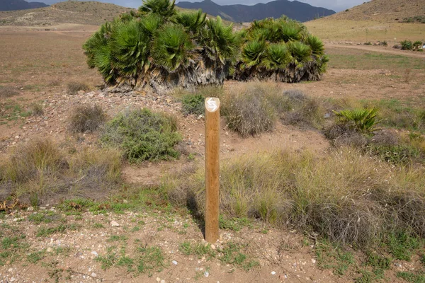 アガベ植物とガータ岬自然公園 アルメリア Nijar アンダルシア スペイン ヨーロッパで 砂漠の植生の田園地帯での道順を示す つの矢印記号で木の棒 — ストック写真