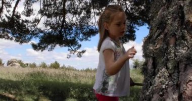 dört yaşındaki sarışın kız bir dal veya sopa ile ağaç gövdesinin kabuğu dokunmadan oynarken. 4k video