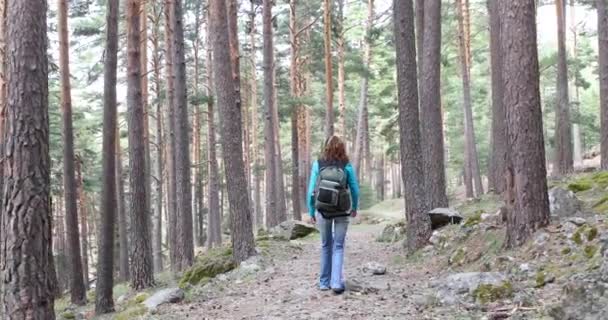 女性と 年間ハイキングやグアダラマ山脈 マドリード スペイン ヨーロッパの近くの田舎で森を歩く金髪の女の子 彼女の娘の年齢します ビデオ — ストック動画