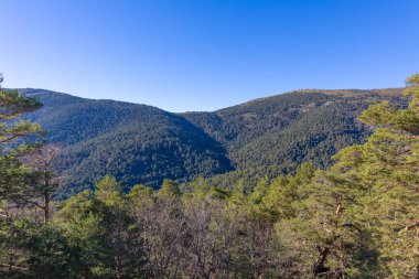 güzel manzara mavi gökyüzü ve orman Fuenfria Vadisi 
