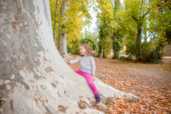 Niño sonriente sentado en el tronco grande del árbol en el bosque del parque —  Fotos de Stock