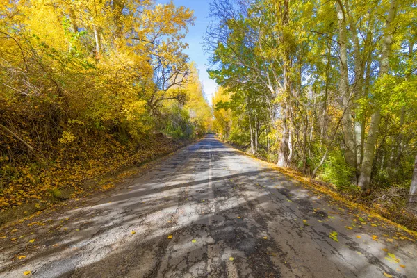 Прямая сельская дорога осенью . — стоковое фото