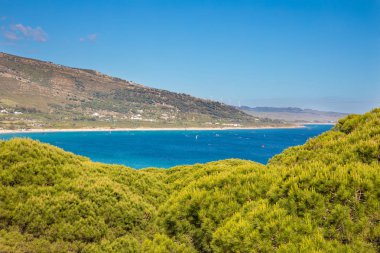 Cadi çam ormanının tepesinden Valdevaqueros Plajı manzara