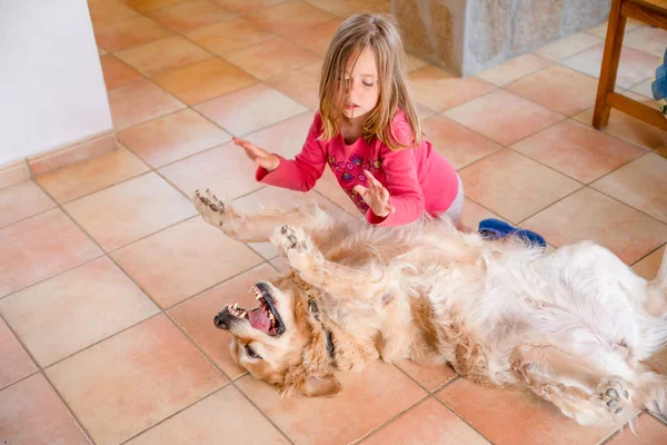 Engraçada menina jogando para bater as mãos com o cão — Fotografia de Stock