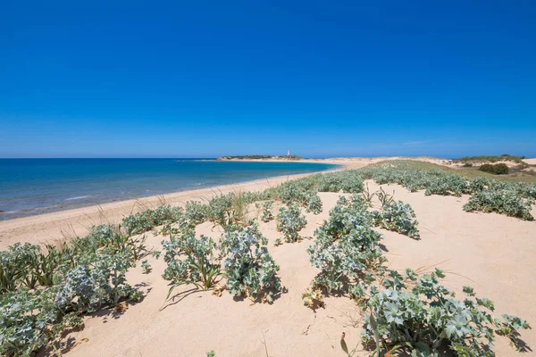 Piękny krajobraz Varadero Beach i Trafalgar Cape w Cadi — Zdjęcie stockowe